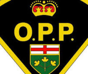 opp-logo