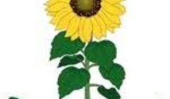 gh hort logo gh hort logo