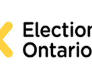 election logo