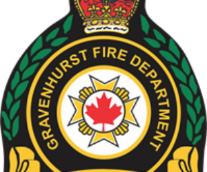 gfd logo