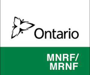 mnrf french