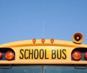 school bus top