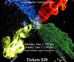 elderberries choir poster