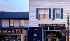 urban vine photo