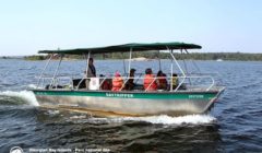 DayTripper boat