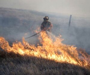 grass fire