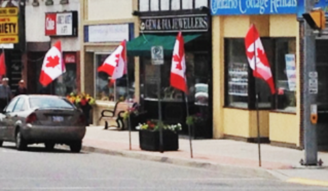 lions flags