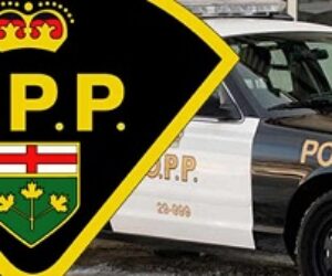 opp crest car