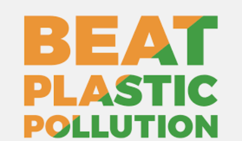 beat plastic pollution large