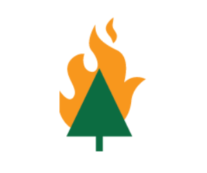 thumbnail-forest-fire_0