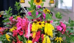DSCF8576