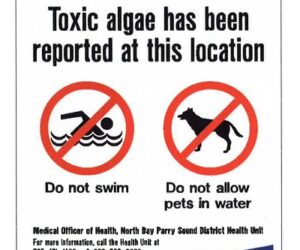 blue-green algae warning sign nbdhu