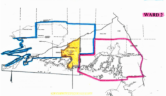 killarney wards