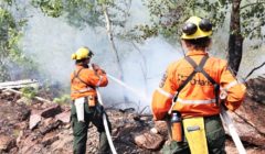 ps 33 firefighters two