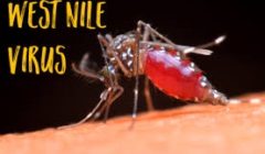 west nile