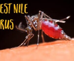 west nile