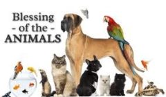 animal blessing