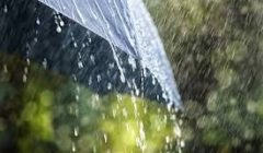 rain umbrella