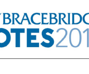 bb votes logo