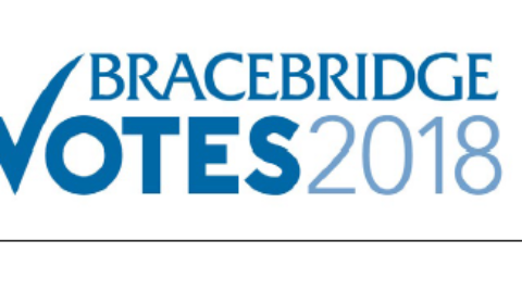 bb votes logo