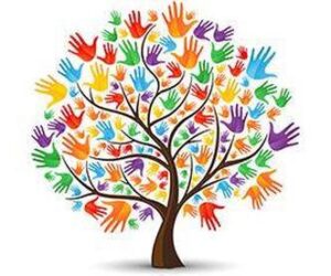 muskoka family network