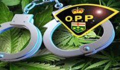 opp drug bust