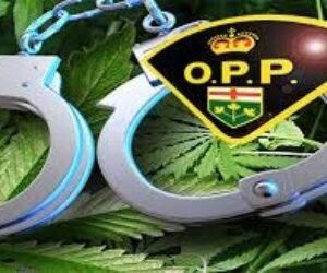 opp drug bust