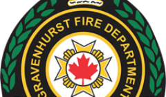 fire logo gfd