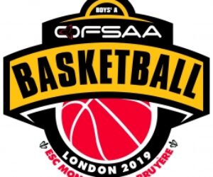 ofssa logo