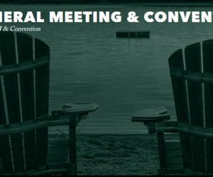 chamber agm logo