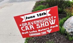 car show 2