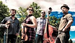 blazing fiddles sell