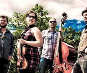 blazing fiddles sell