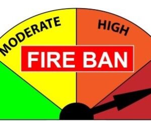 fire ban best