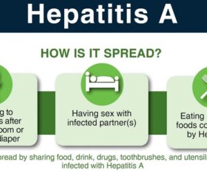 hep a graphic 2