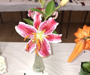 IMG_0571 (1)