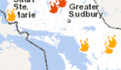 forest fire small