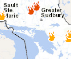 forest fire small