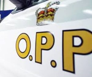 opp reverse