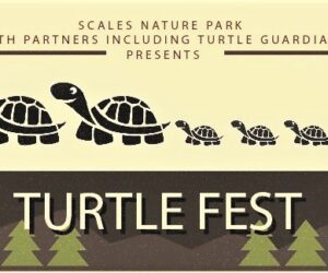 turtle fest front