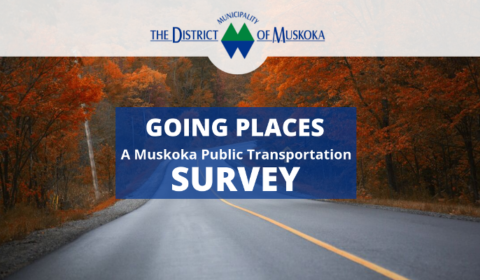 district transpo survey