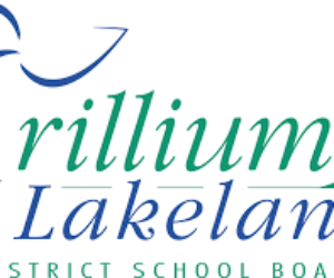 tldsb logo