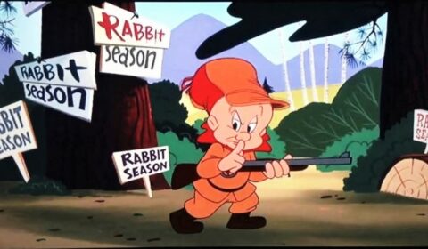 rabbit season