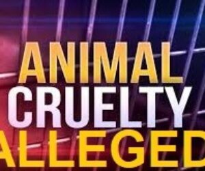 animal cruelty logo
