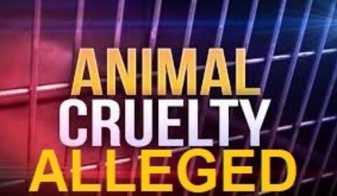 animal cruelty logo