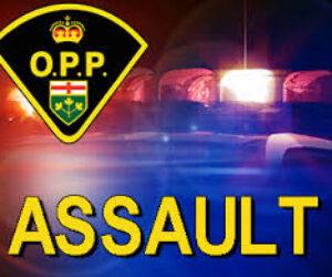 opp assault image