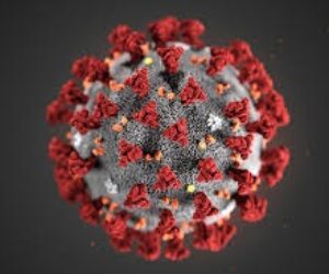 covid virus image