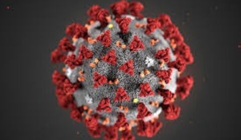 covid virus image