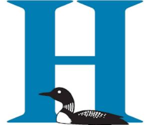 hospital foundation log hvl