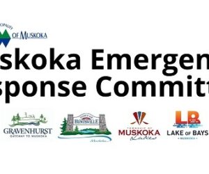 muskoka covid logos 2